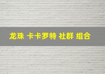 龙珠 卡卡罗特 社群 组合